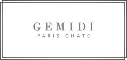 GEMIDI Paris Chats